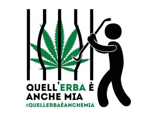 logo-campagna-erba