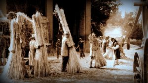 canapa-5-10-strigliatura-o-scavezzatura
